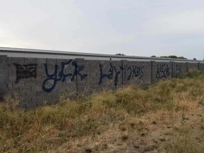 Graffiti art on a concrete wall, featuring various tags and urban elements in an overgrown setting.