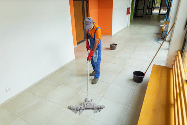 Enhancing Productivity and Comfort through Residential and Commercial Cleaning in Richland